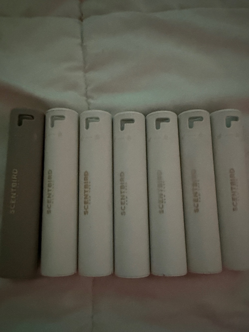 Scentbird Portable Fragrance Magnet Atomizers Casings ONLY Travel White and Grey